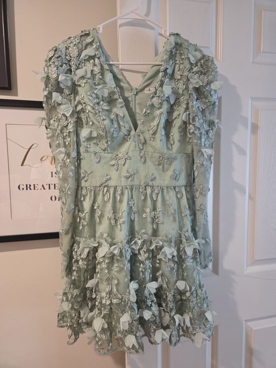 Dress the Population Dresses & Skirts - Dress The Population Floral Lace Dress, Size M